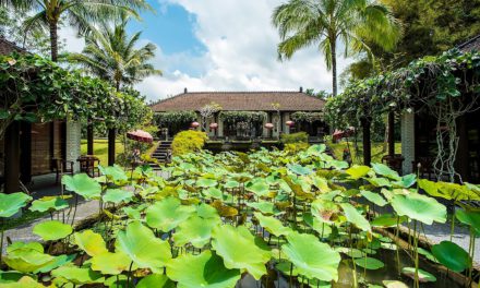 Bali Latest Villa-Style Holidays
