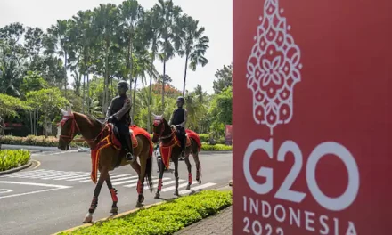 Highlights of G20 Summit 2022 Indonesia