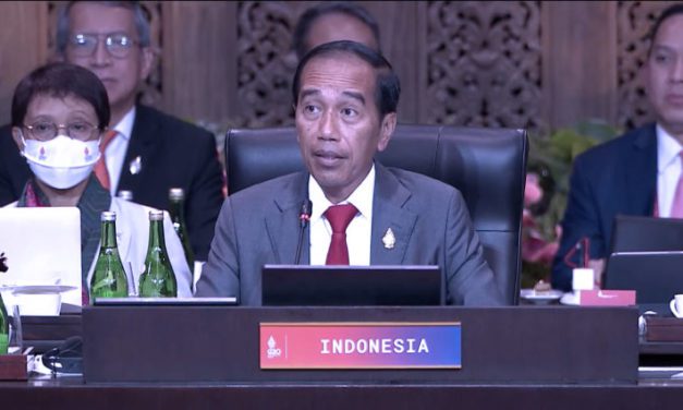 G20 Summit Investment Momentum for Indonesia