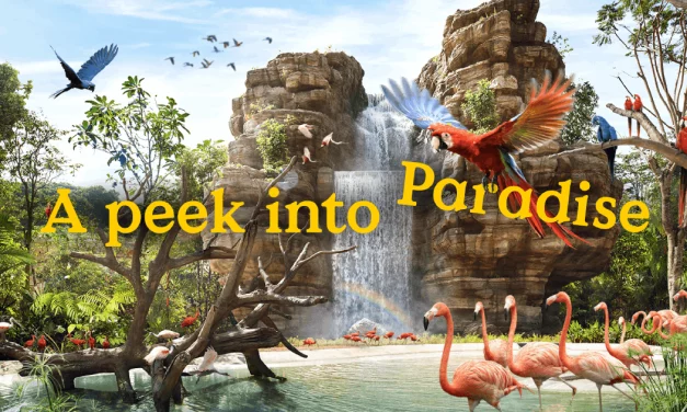 Mandai Park Opens Immersive ‘Bird Paradise’