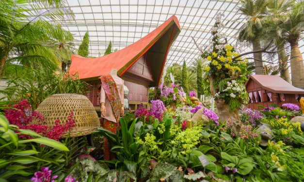Gardens by the Bay Celebrates Orchids from Four Nations in Orchid Extravaganza