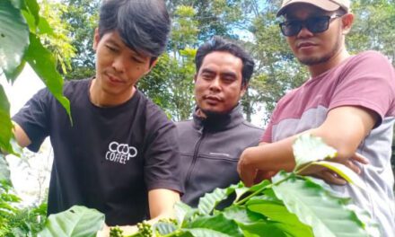 Indonesian Coffee Making Impact in Global Markets