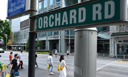 Orchard Road Discounts: A Shopper’s Paradise for Indonesian Tourists￼