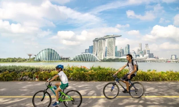 Singapore Records 1.23 Million Tourist Arrivals in November 2024, Driven by Indonesian and Chinese Visitors