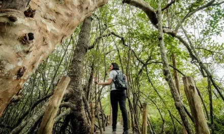 Indonesia Launches 2026 Tourism Safety Program to Strengthen Tourist Destination Standards Nationwide