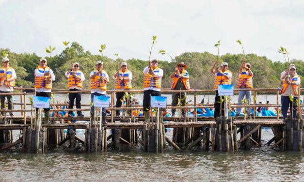 Indonesia expands mangrove restoration to strengthen climate resilience and coastal protection