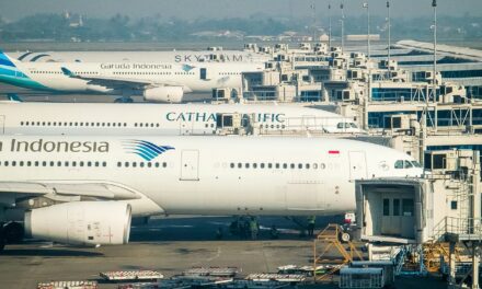 Indonesia advances Garuda Indonesia-Pelita Air merger to strengthen aviation sector